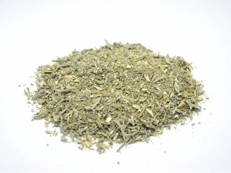 Полынь горькая – лечебные свойства травы