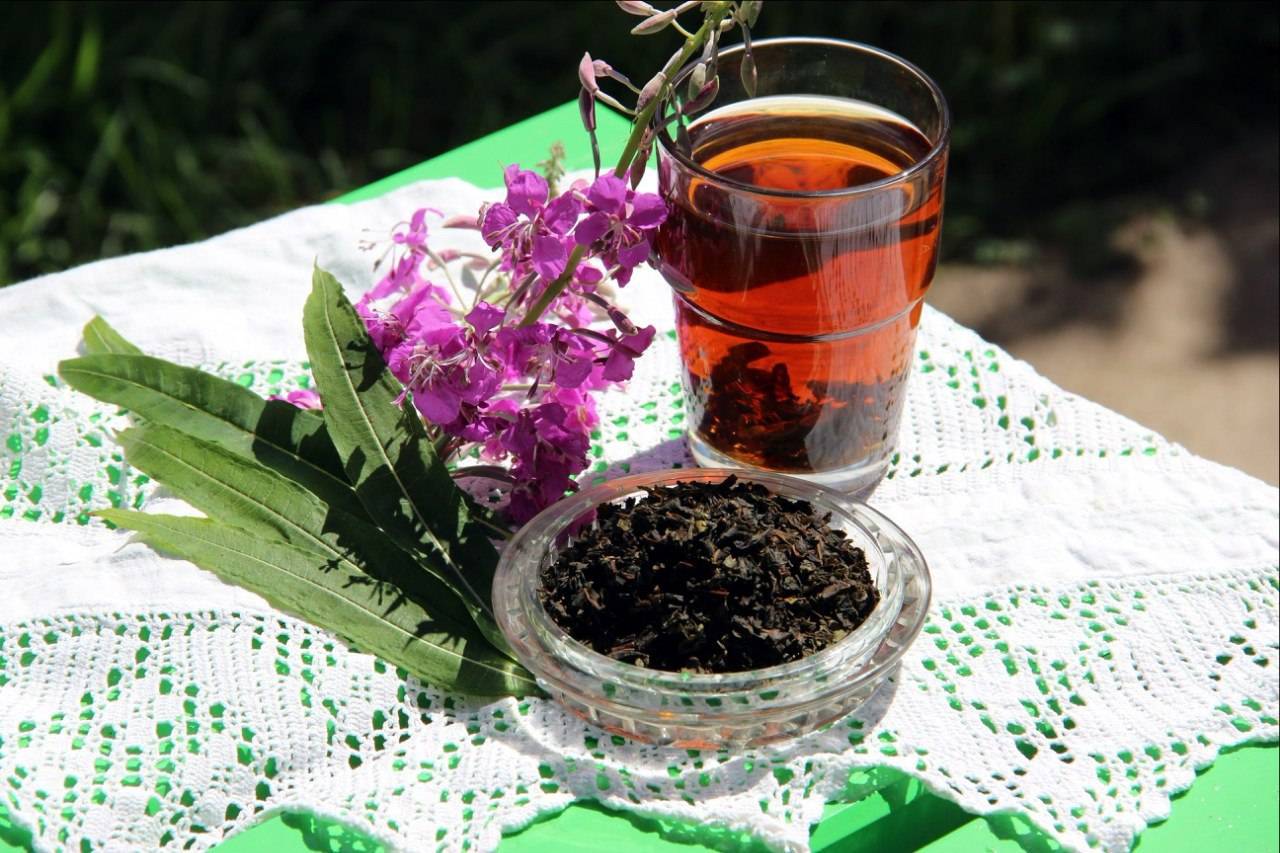 Чай из бадана (чигирский или монгольский чай)