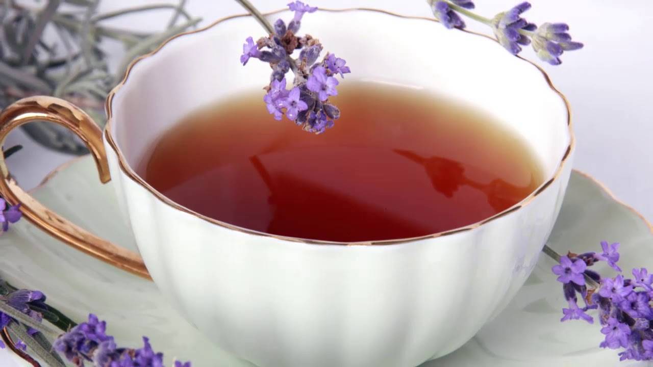 Как приготовить лавандовый чай? - just help us