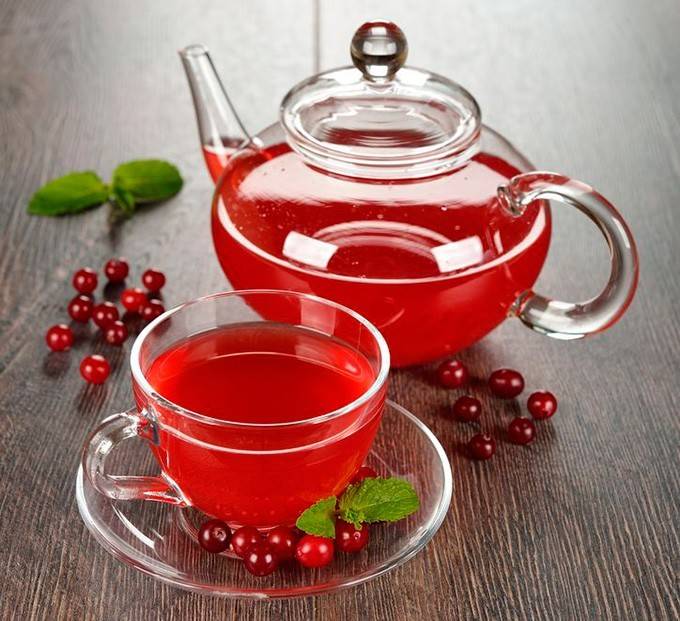 Полезные свойства чая с клюквой и рецепты приготовления
