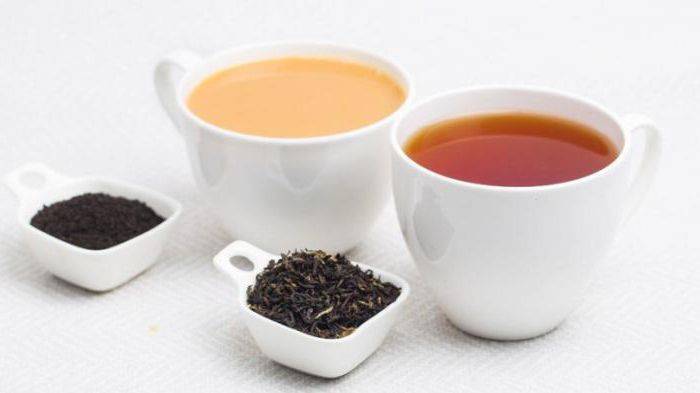Кенийский чай черный: описание, польза, отзывы