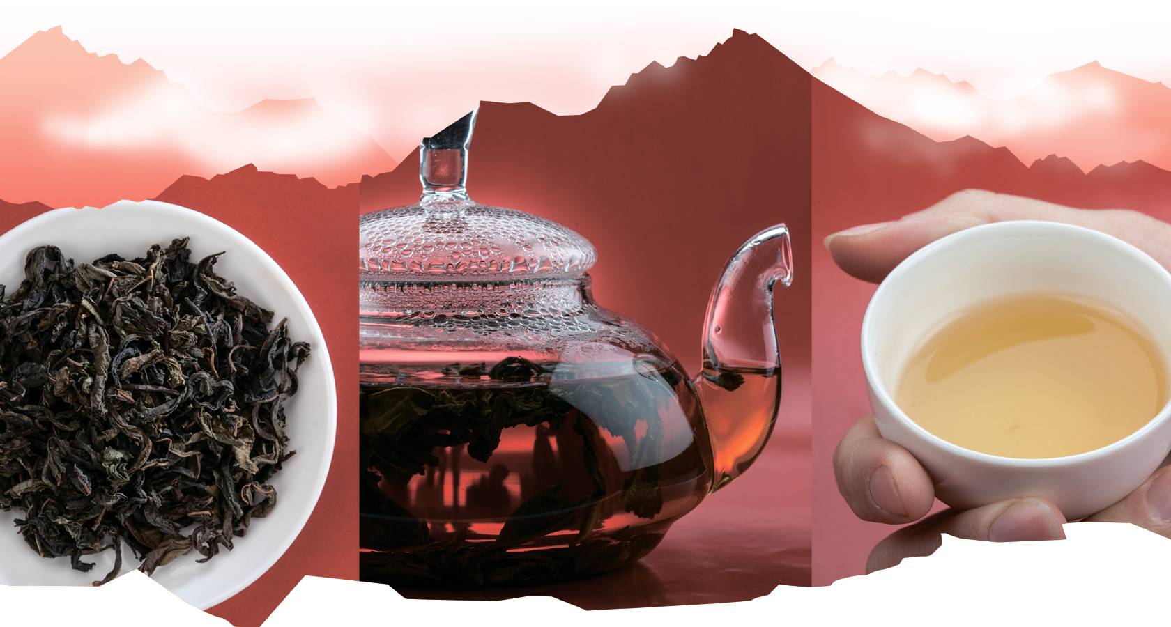 Иван-чай: лечебные свойства и противопоказания