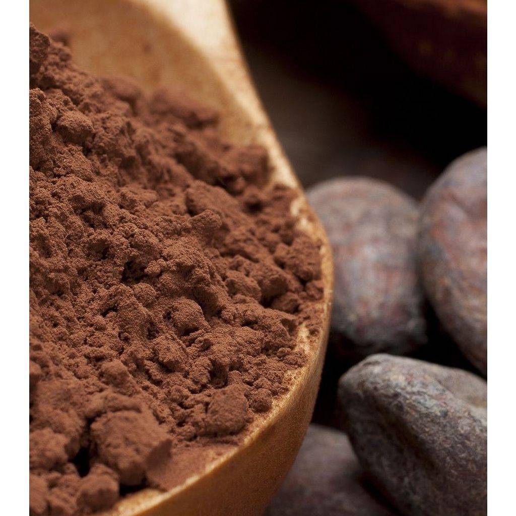 Просроченный какао порошок можно. Какао-порошок. Польза какао. Полезное какао. Чем полезен какао.