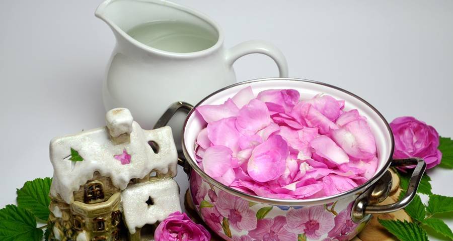 Чай из лепестков розы польза и вред