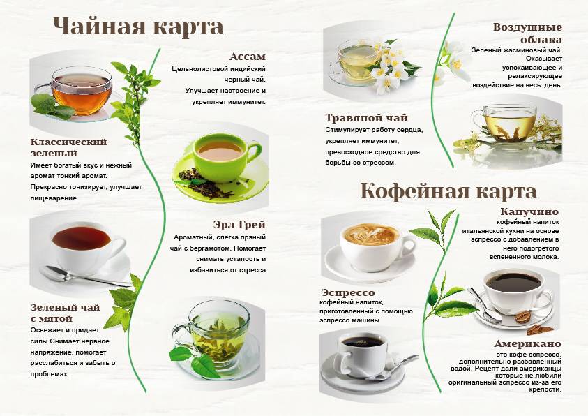 Вьетнамский чай: описание, виды, особенности заваривания
