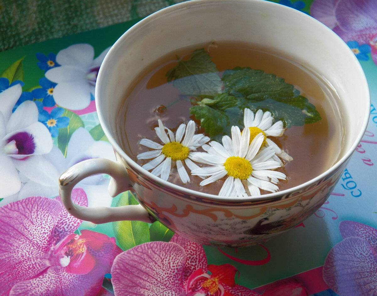 Лечение бессонницы травами: от чая до аромаподушек