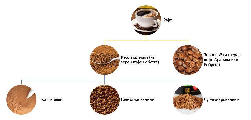 Сублимированный кофе: понятие, известные марки, рецепт