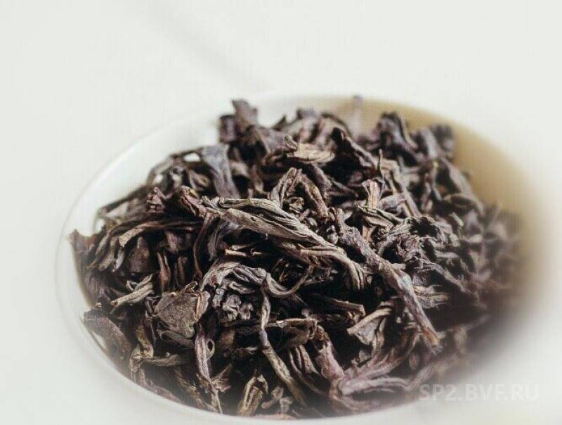 Чай крупнолистовой, его преимущества перед другими видами чая