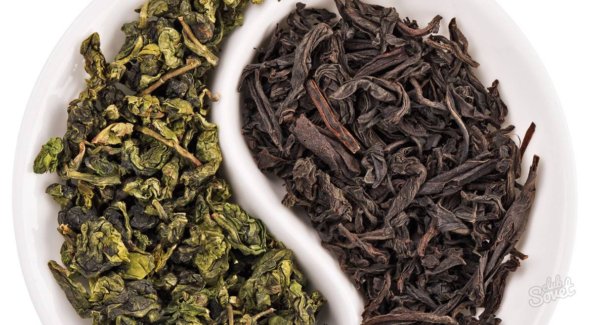 Таинственный процесс ферментации чая – источник вкуса и аромата