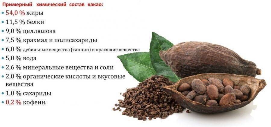 Какао: целебные свойства и применение в медицине
