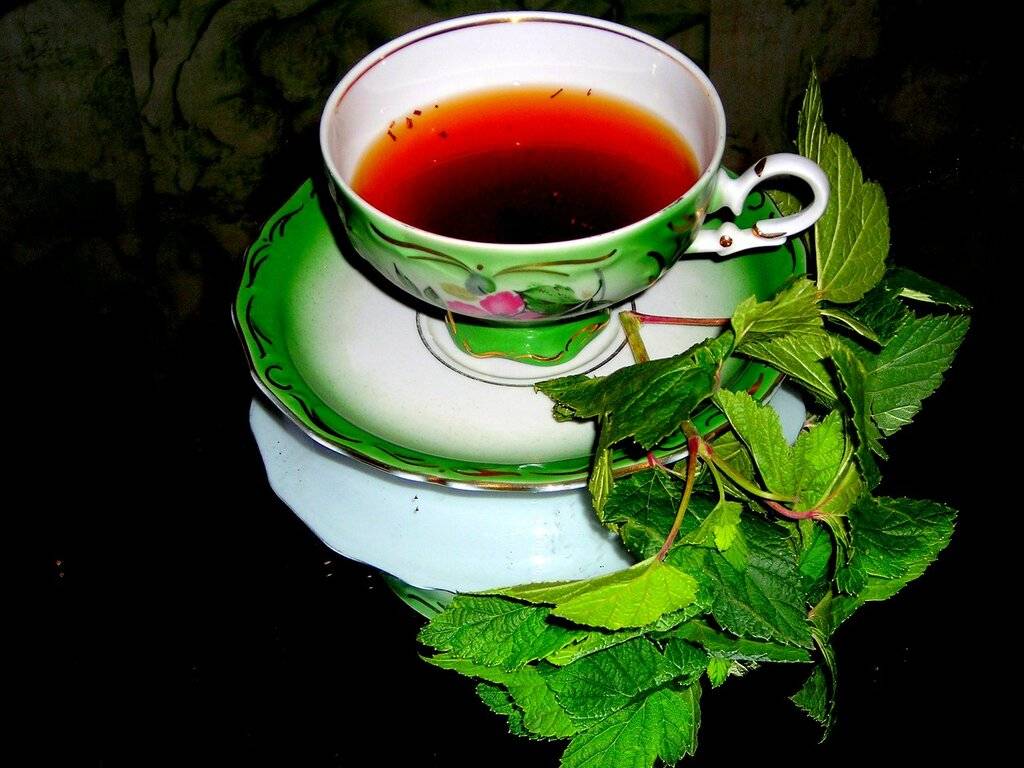Чай из листьев черники — польза и вред | польза и вред