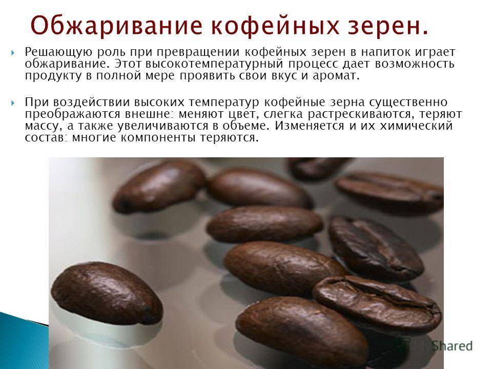 Какой кофе полезнее - молотый или растворимый: состав, содержание кофеина, вредные вещества
