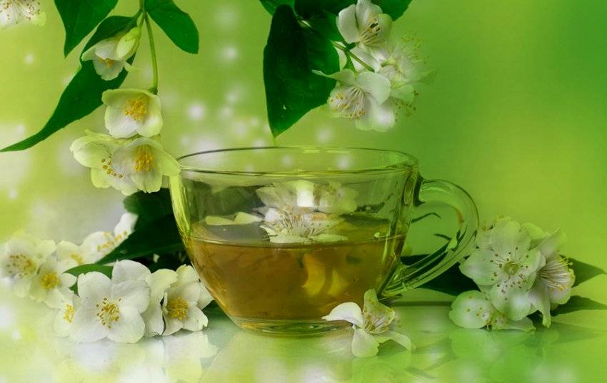 Чай с шалфеем: как пить и заваривать, польза вред
