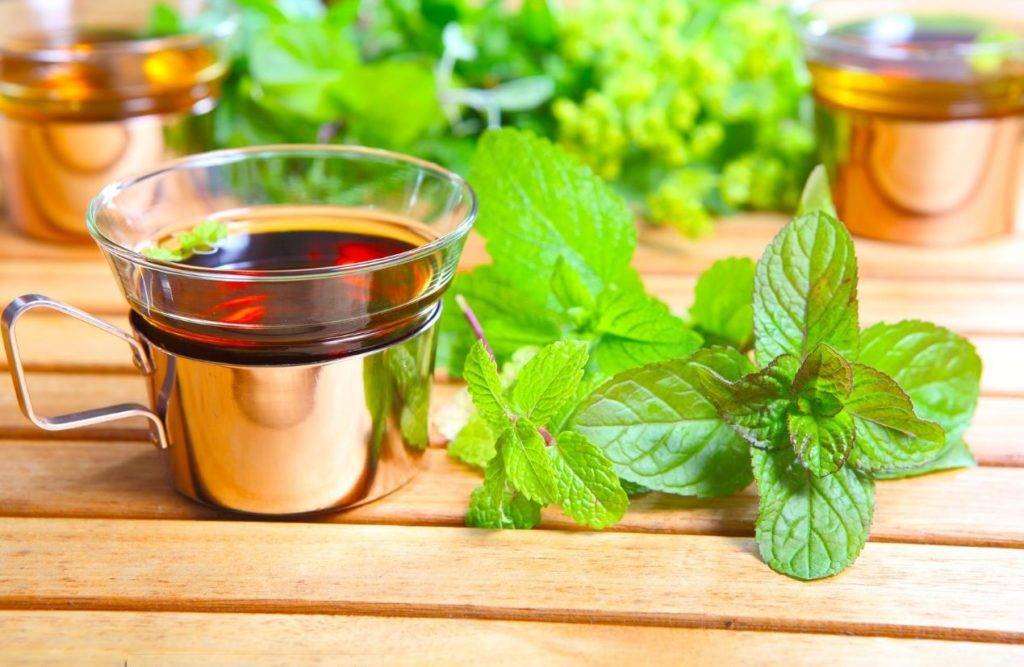 Можно ли шалфей пить как чай и какими полезными свойствами обладает это растение?