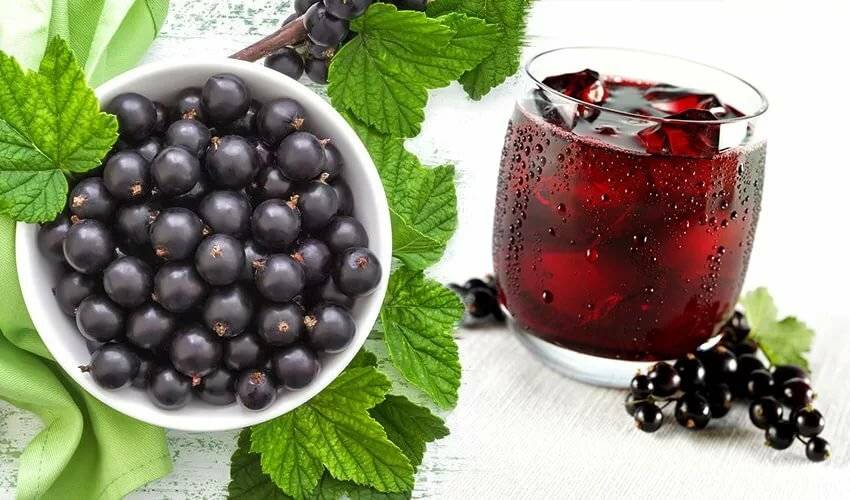 Рецепты черничного чая с ягодами и листьями