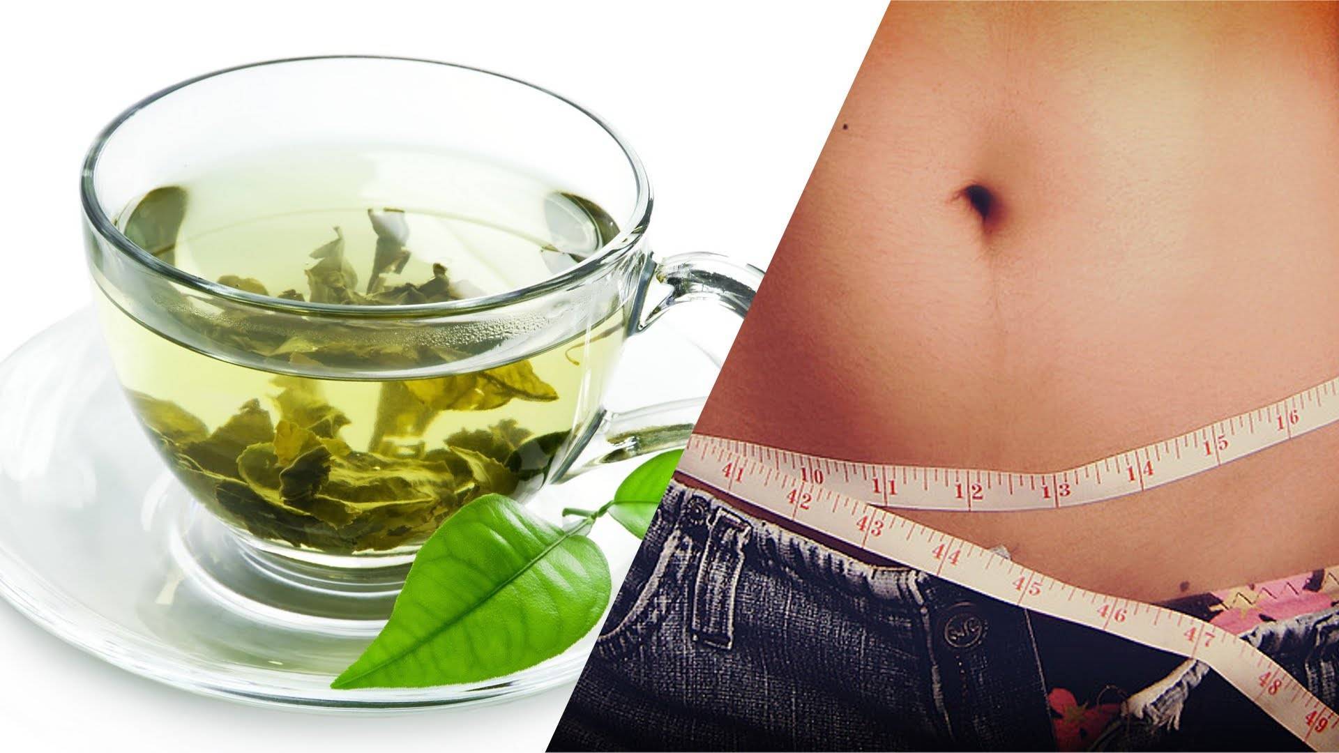 Зеленый чай для эффективного похудения — как заваривать, как пить