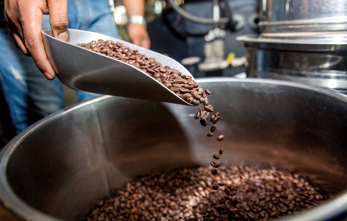 Производство натурального кофе как бизнес