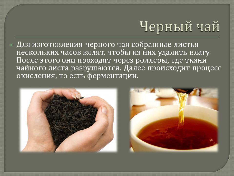 Черный чай: состав, особенности, польза и вред