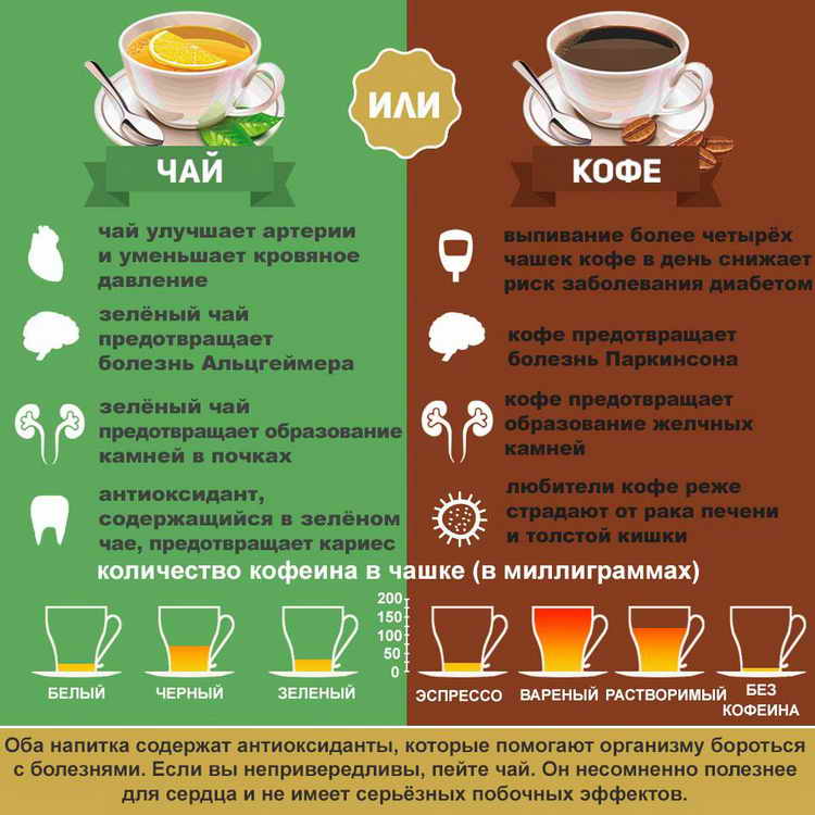 Чем отличается зеленый чай от черного: главное отличие, разница между ними
