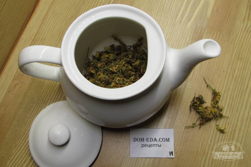 Чай из зверобоя польза и вред как заваривать и пить - здоровье и долголетие