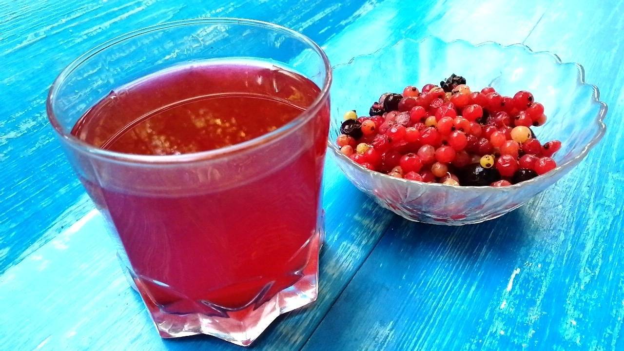 Как приготовить морс из черники – рецепты из свежих и замороженных ягод