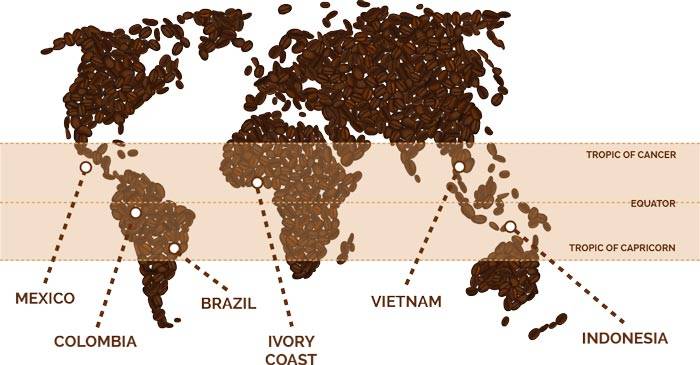Страны – производители кофе