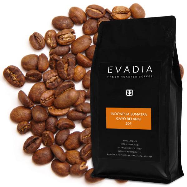 Кофе в зернах: виды кофейных деревьев, рейтинг стран-производителей и известных брендов
