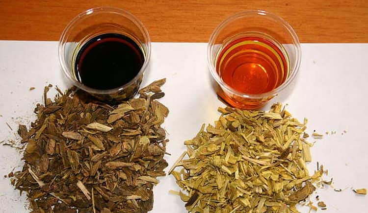 Барбарис чай польза и вред - простые пошаговые рецепты с фотографиями