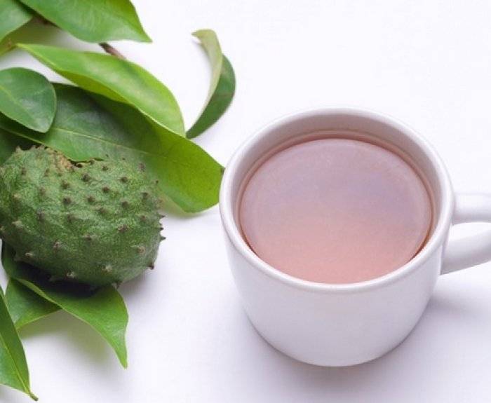 Саусеп чай свойства и противопоказания