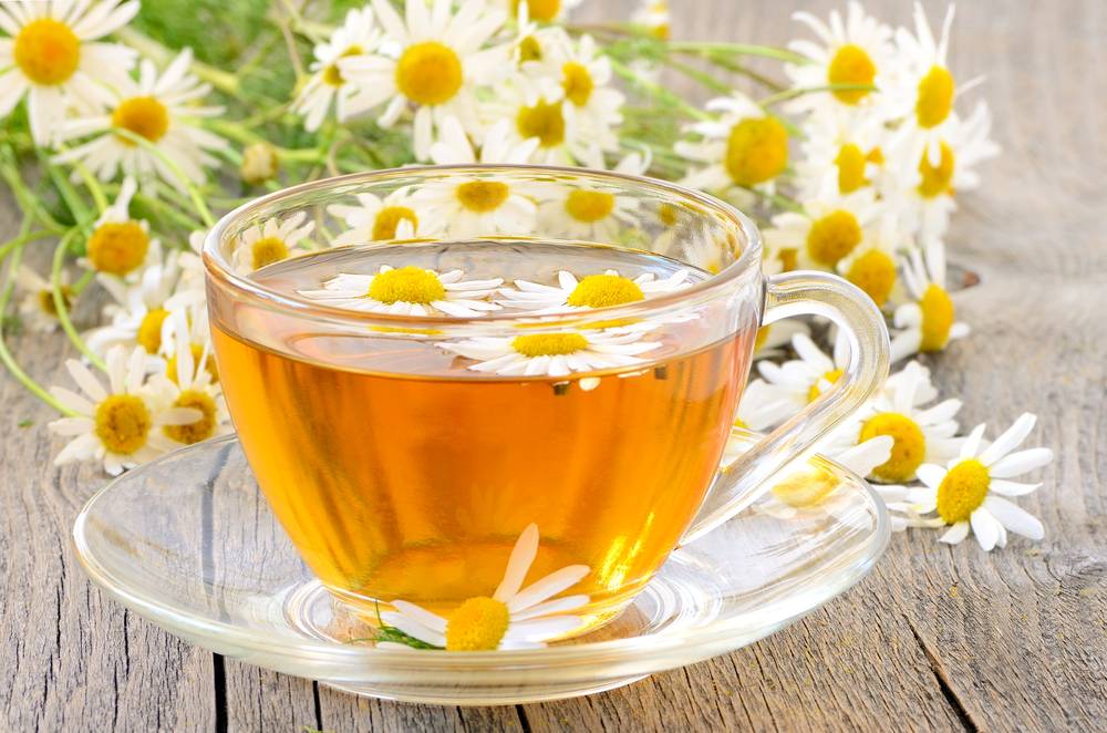 Ромашка при простуде и гриппе: ромашковый чай, ингаляции, полезные свойства