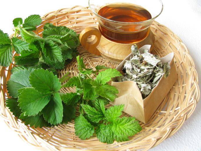 Чай из листьев земляники польза и вред
