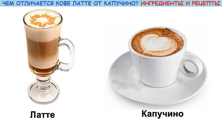 Чем отличаются кофейные напитки: латте и капучино. ищем отличия между данными видами кофе