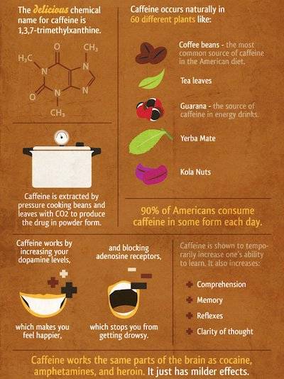 Интересные и малоизвестные факты о кофе
