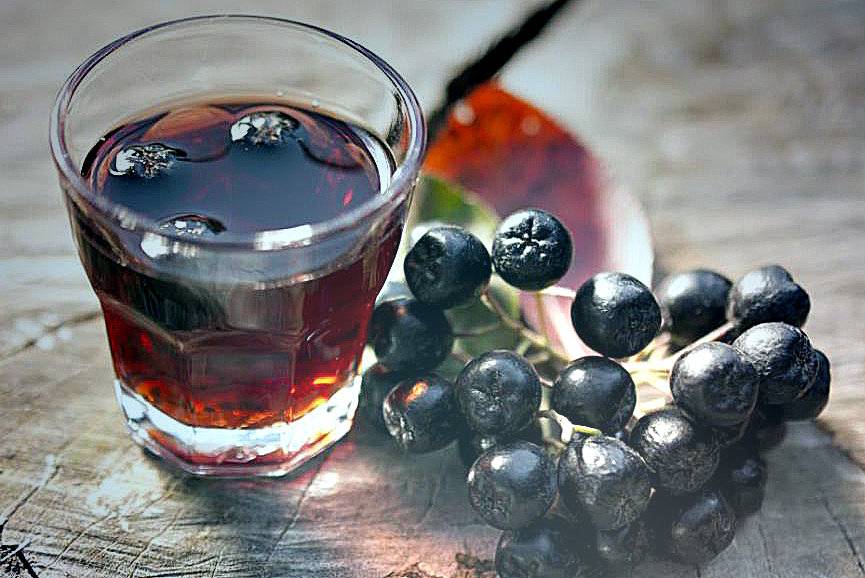 Чай из черноплодной рябины лечебные свойства и противопоказания