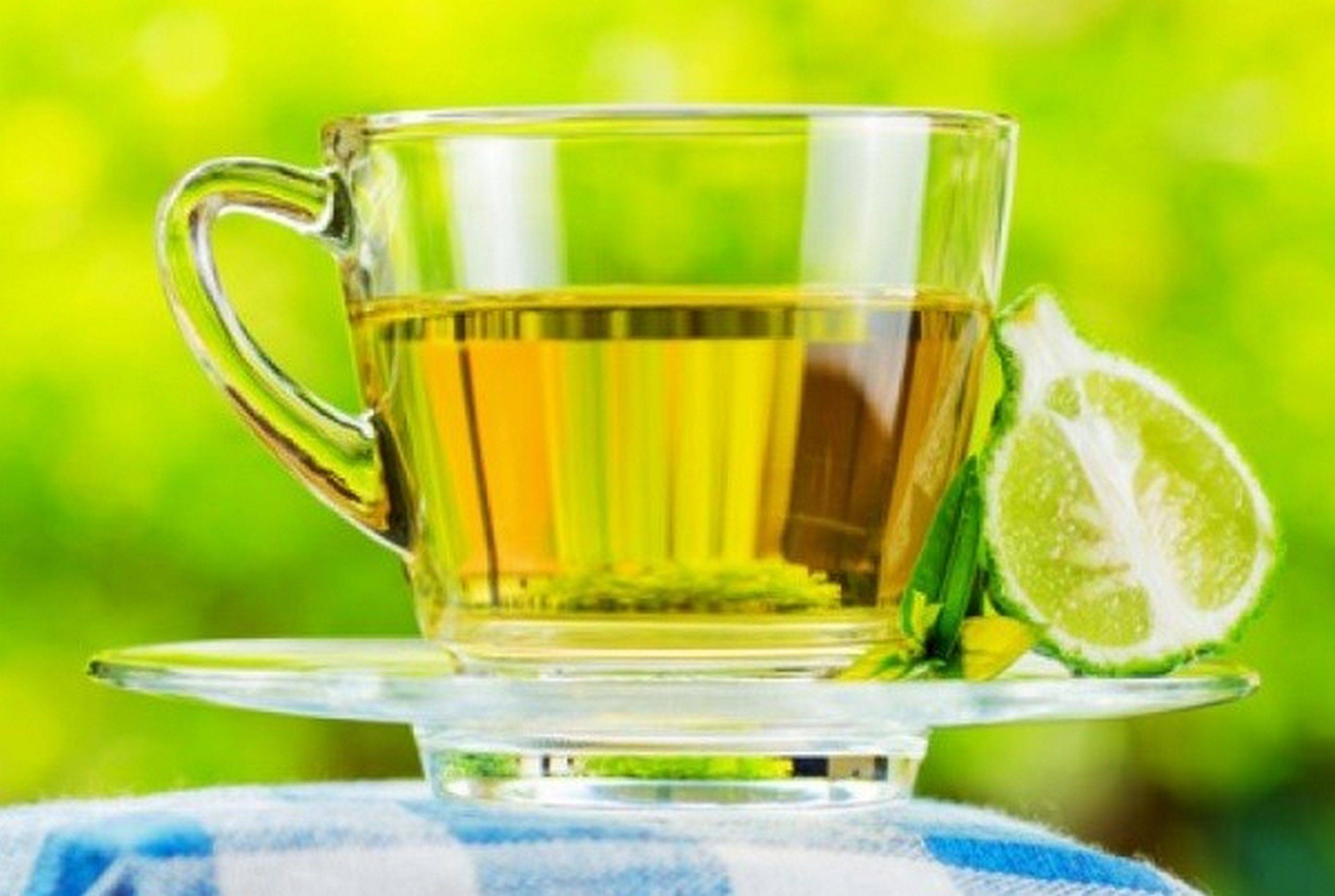 Польза и вред бергамота для здоровья, как заваривать чай