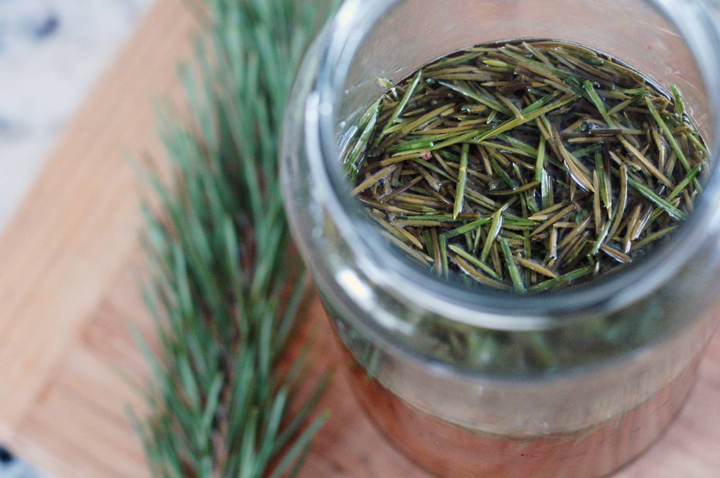 Чай из сосновых веток. чем полезен ароматный чай из сосновых иголок? когда собирать хвою