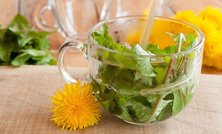 10 рецептов травяных чаев
