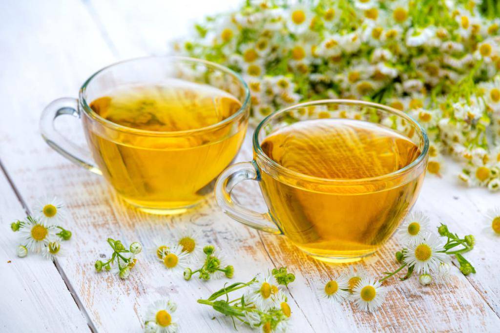 Ромашковый чай: чем полезен и чем вреден