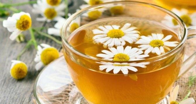 Ромашковый чай для похудения: рецепты, советы, противопоказания