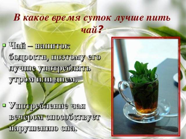 Можно ли пить на ночь зеленый чай?
