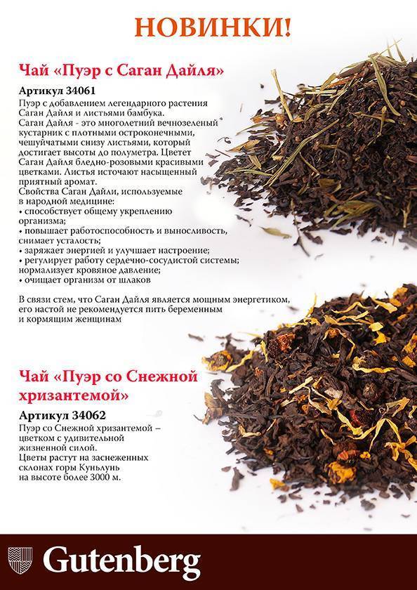 Чай саган-дайля: полезные свойства бурятских и алтайских растений, вкус и противопоказания к применению, отзывы врачей о саган-дали