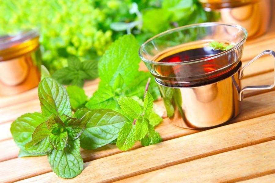 Польза чая с мелиссой для организма человека. возможный вред чая с мелиссой, правила заваривания и особенности употребления