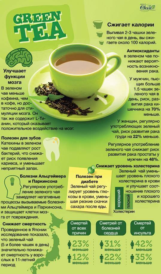 Зеленый кофе: польза и возможный вред употребления