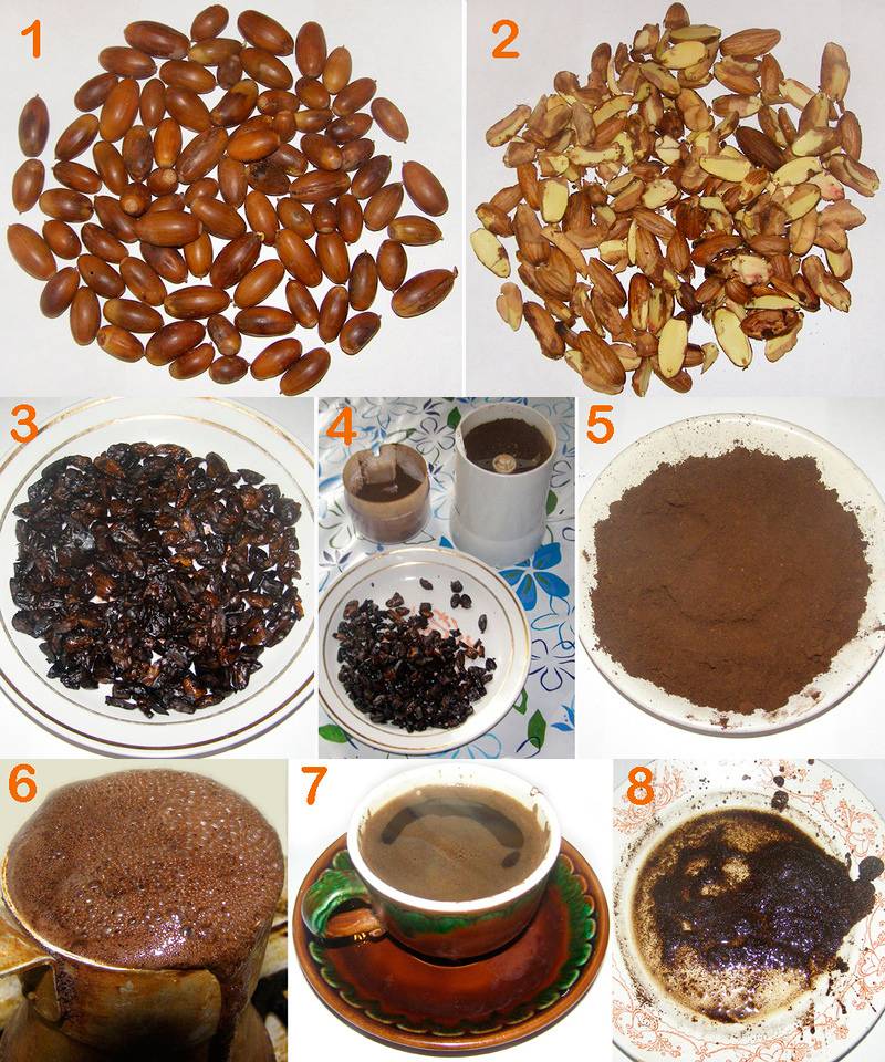 Как использовать дубовые жёлуди для приготовления кофе
