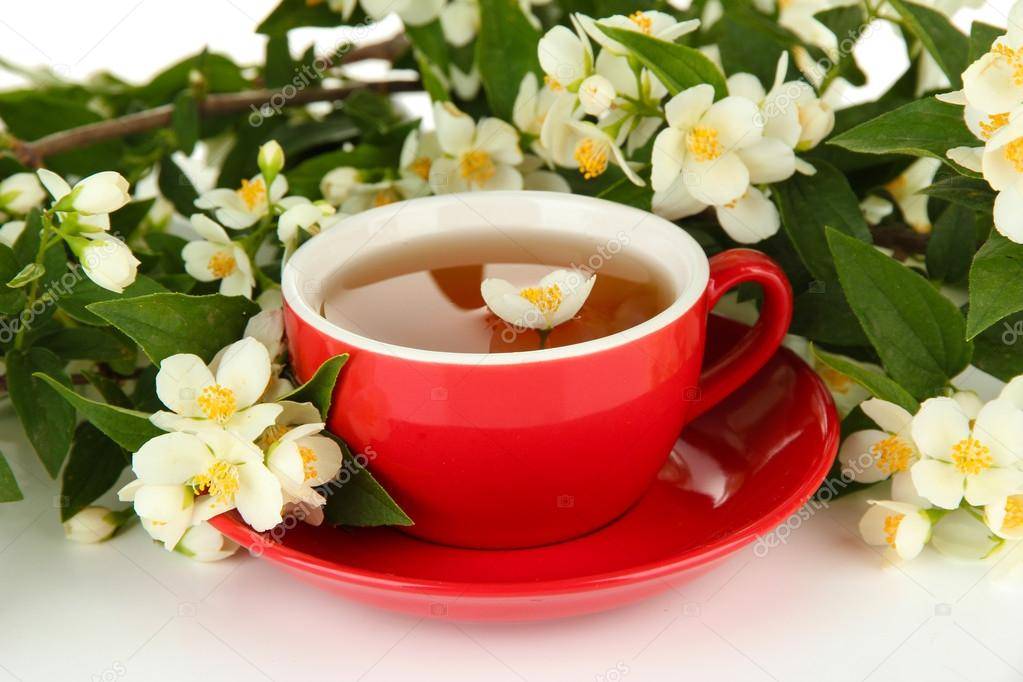 Чай с жасмином, польза и вред