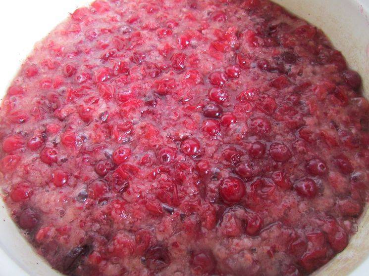 Клюквенный морс рецепт из замороженных ягод