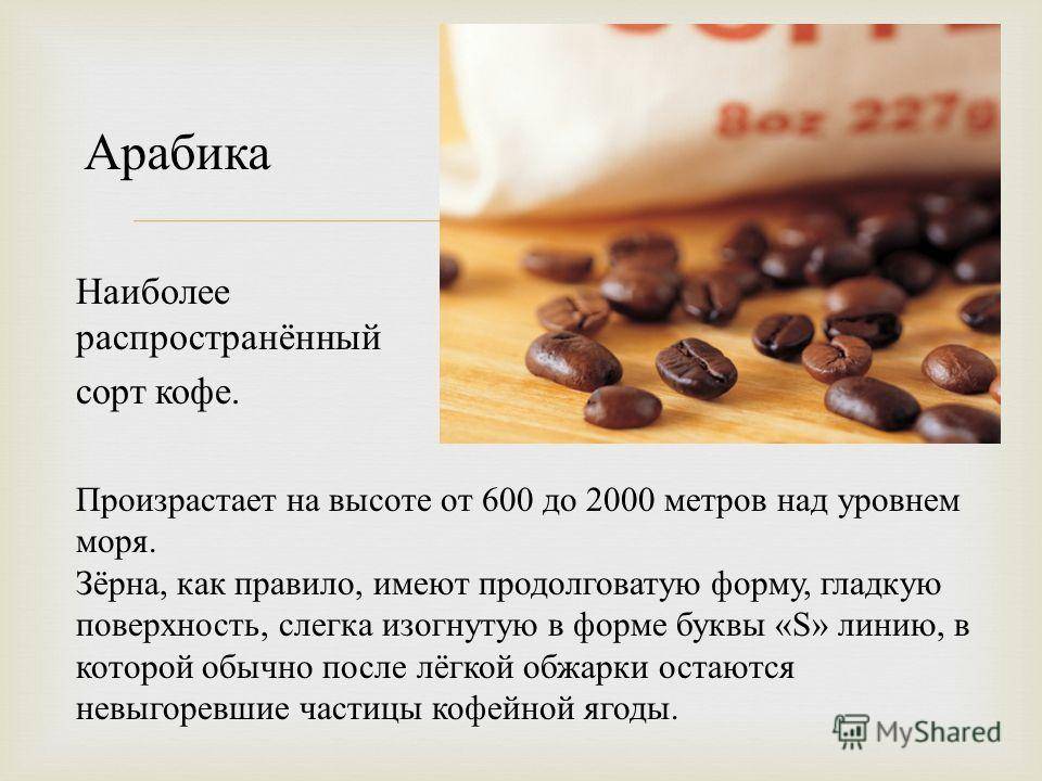 Страны-производители кофе