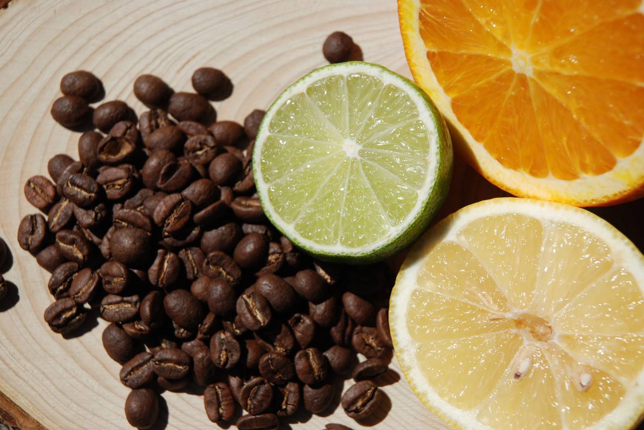 Сорта кофе (виды кофейного дерева)