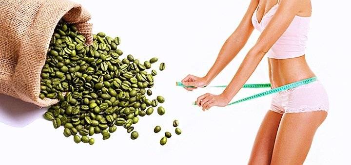 Зеленый кофе – польза и вред для организма человека