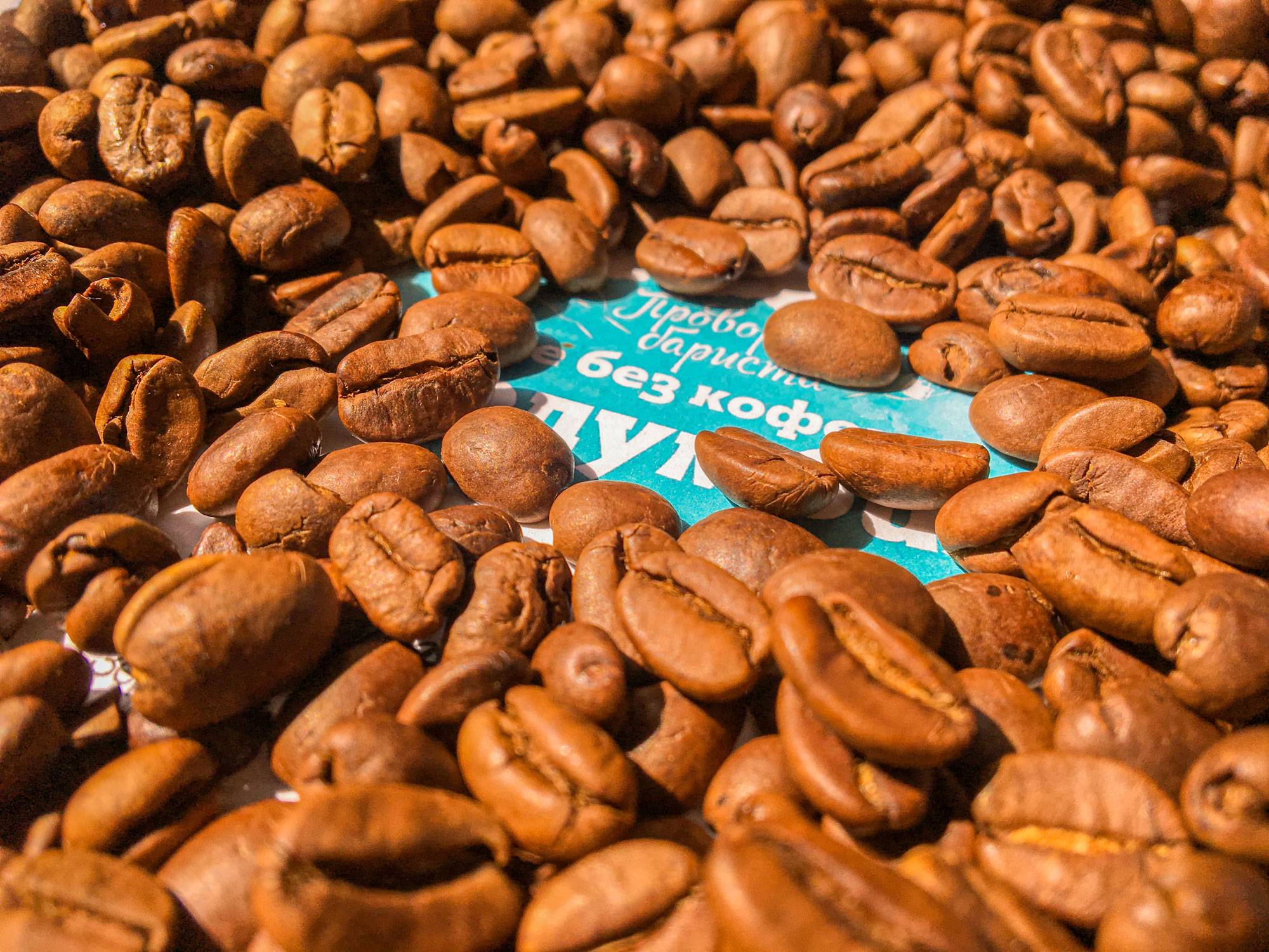 9 дешевых кофе элитного качества 2022, которые однозначно стоит покупать